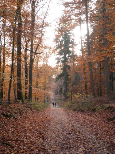 Beratung bei der Entwicklung von Selbstkompetenz